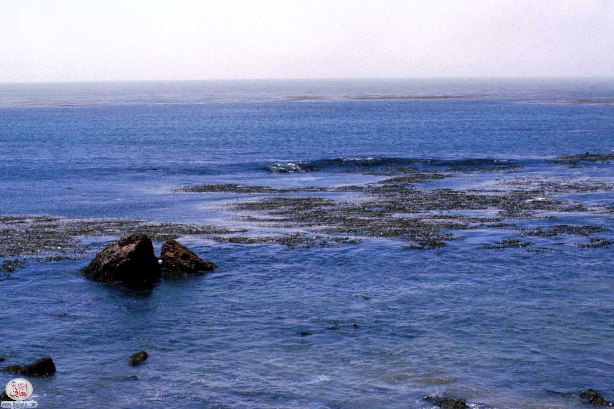 california-32