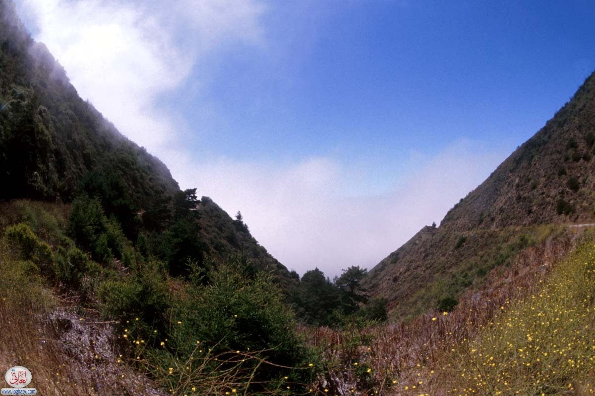 california-42