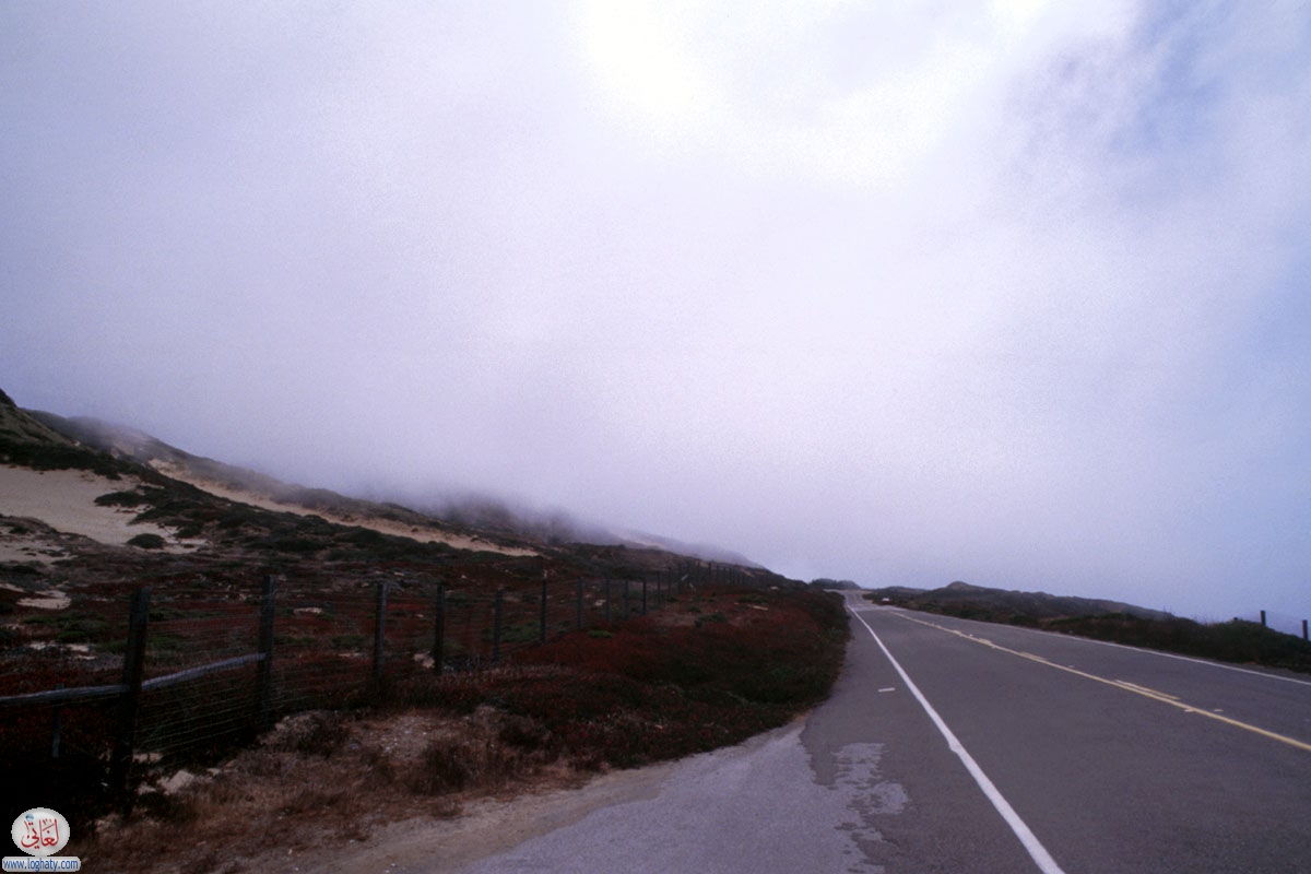 california-49