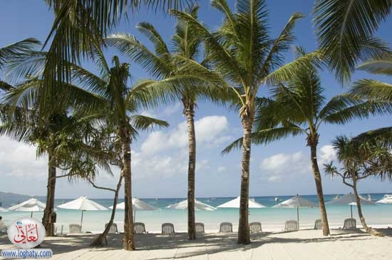beachscene
