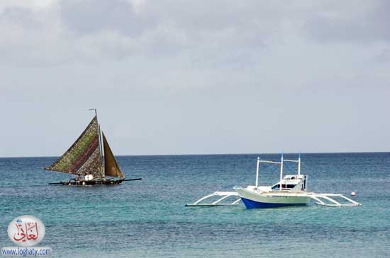 boats