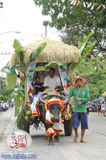 cart1