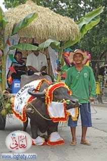 cart11