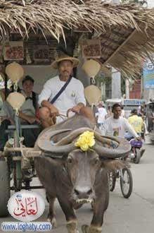 cart2