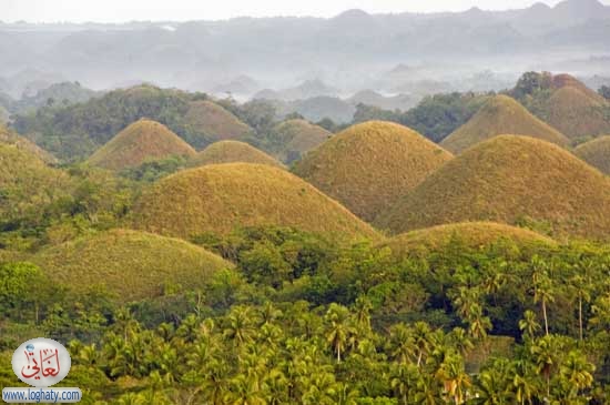 chocolatehills12