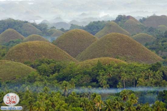 chocolatehills15