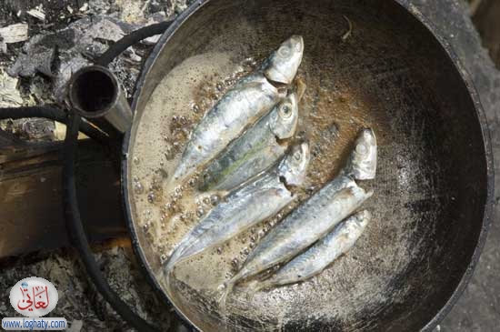 fryfish