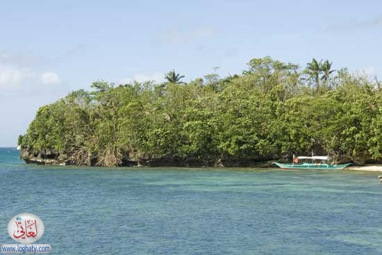 island2