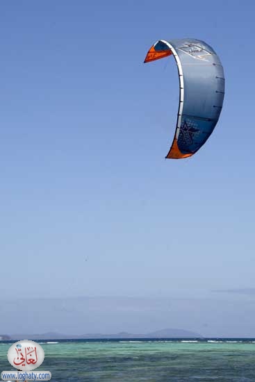 kites4