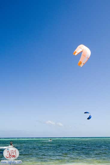 kites5