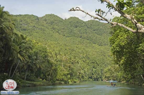 lobocriver