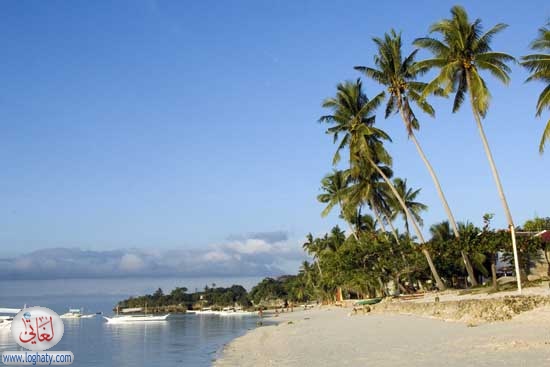 paradis