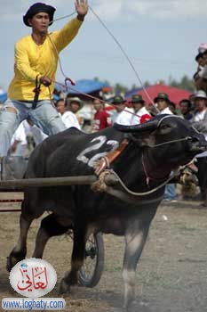 racing