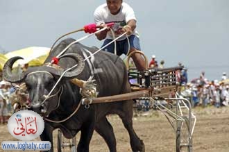 racing2