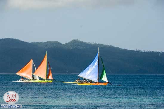 sailsbrite
