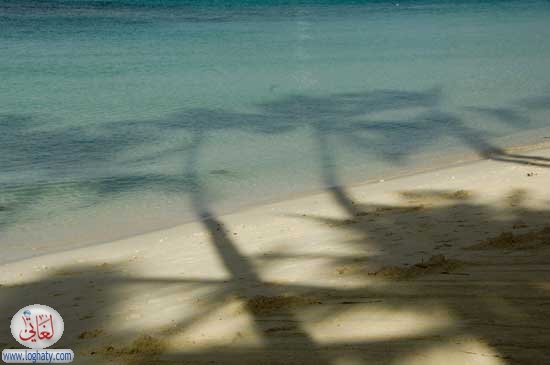 shadows
