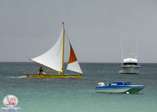 ships