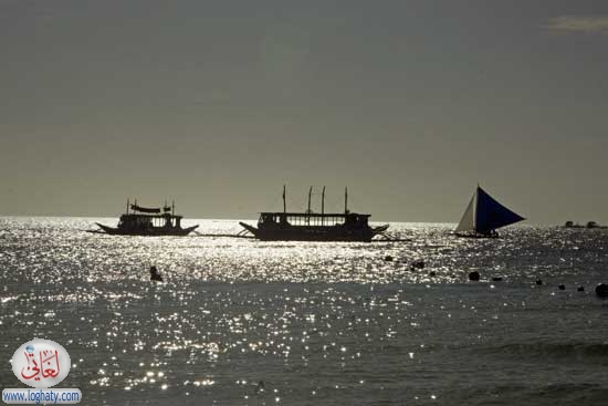 sunlightboats