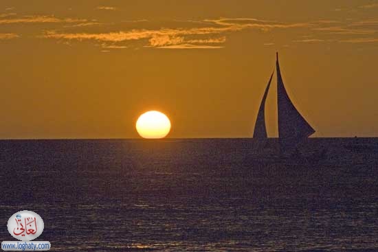 sunset11