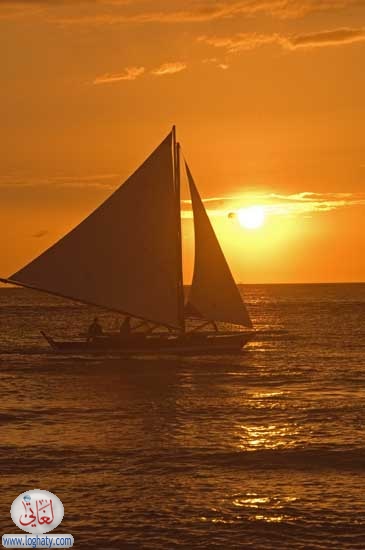 sunset16
