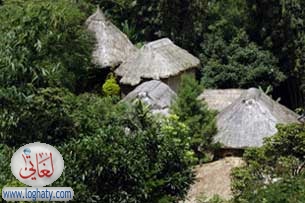 tradvillage