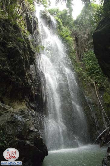 waterfall