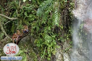 waterfallkids