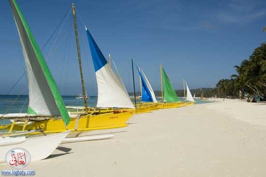 yachts2