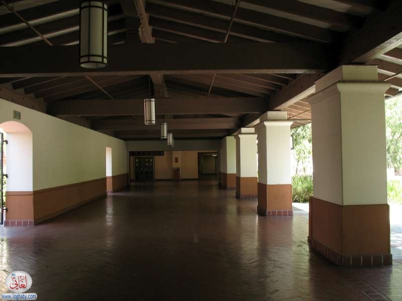 IMG 0504-800