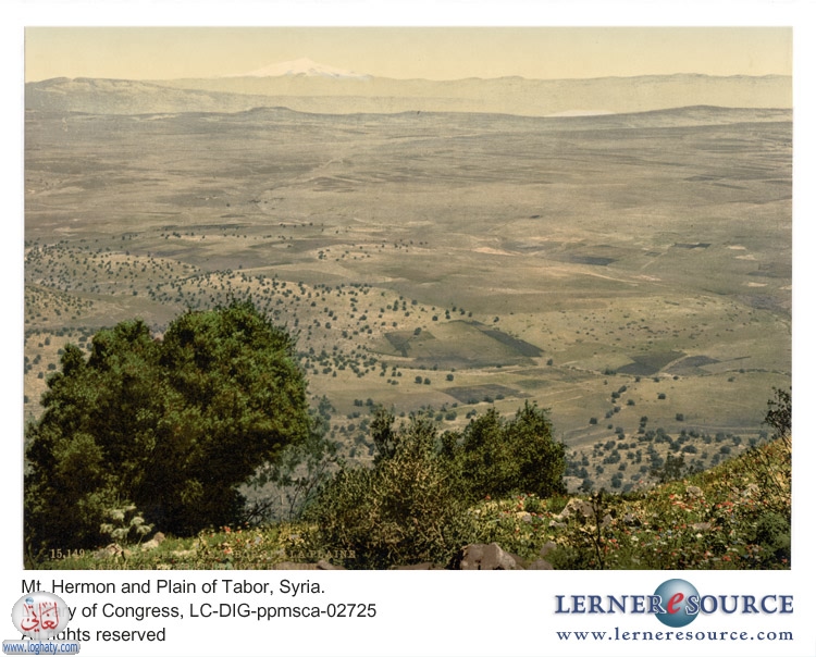 syria p01