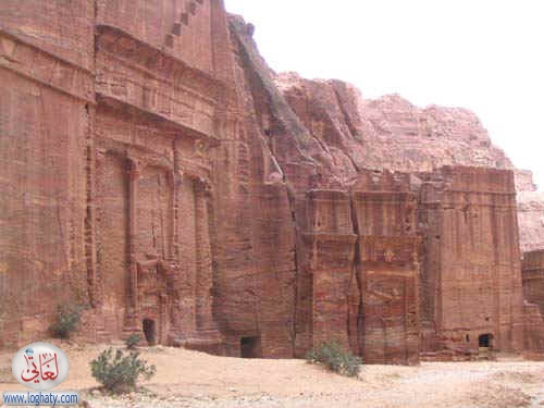 syria217