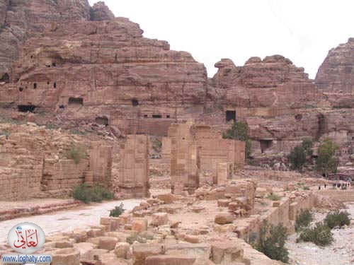 syria237