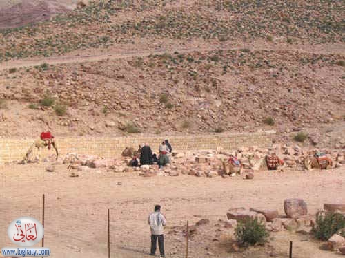 syria249