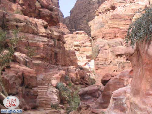 syria255