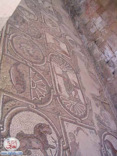 syria307