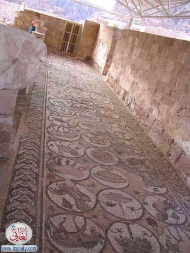 syria309