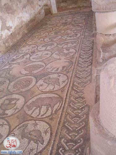 syria310