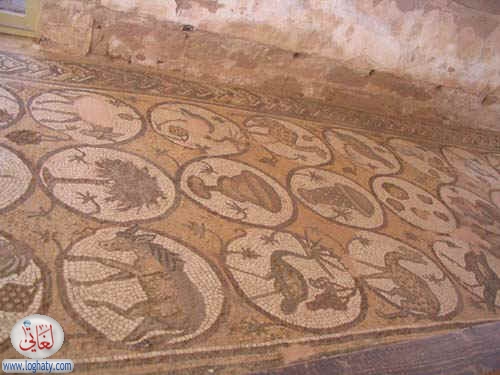 syria311