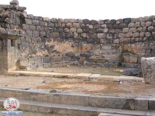 syria351