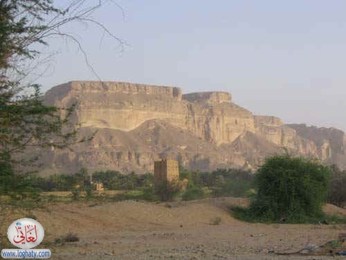 ethi156