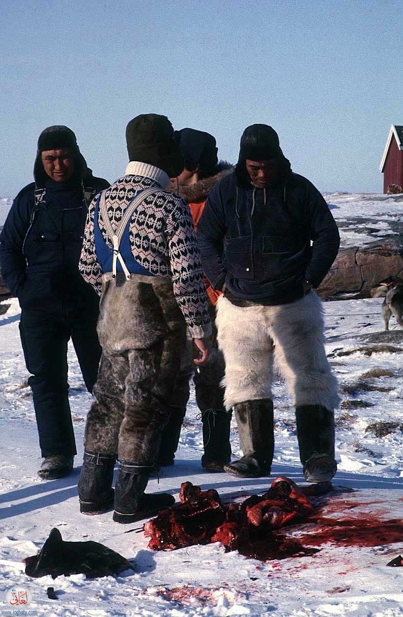 eskimos 02