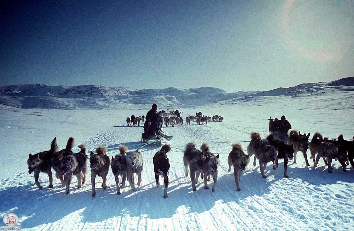 eskimos 04