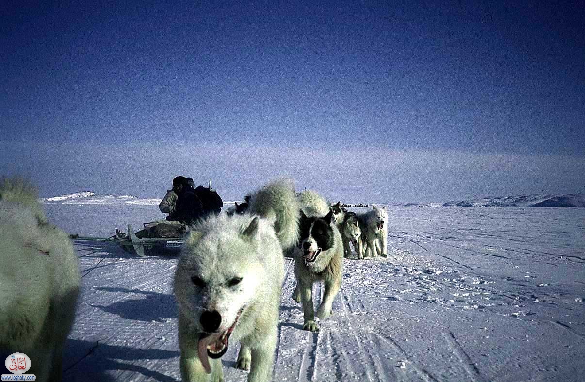 eskimos 06