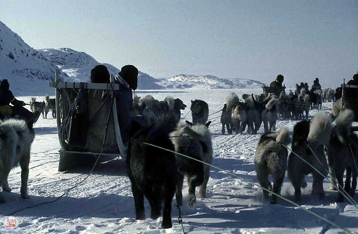 eskimos 08