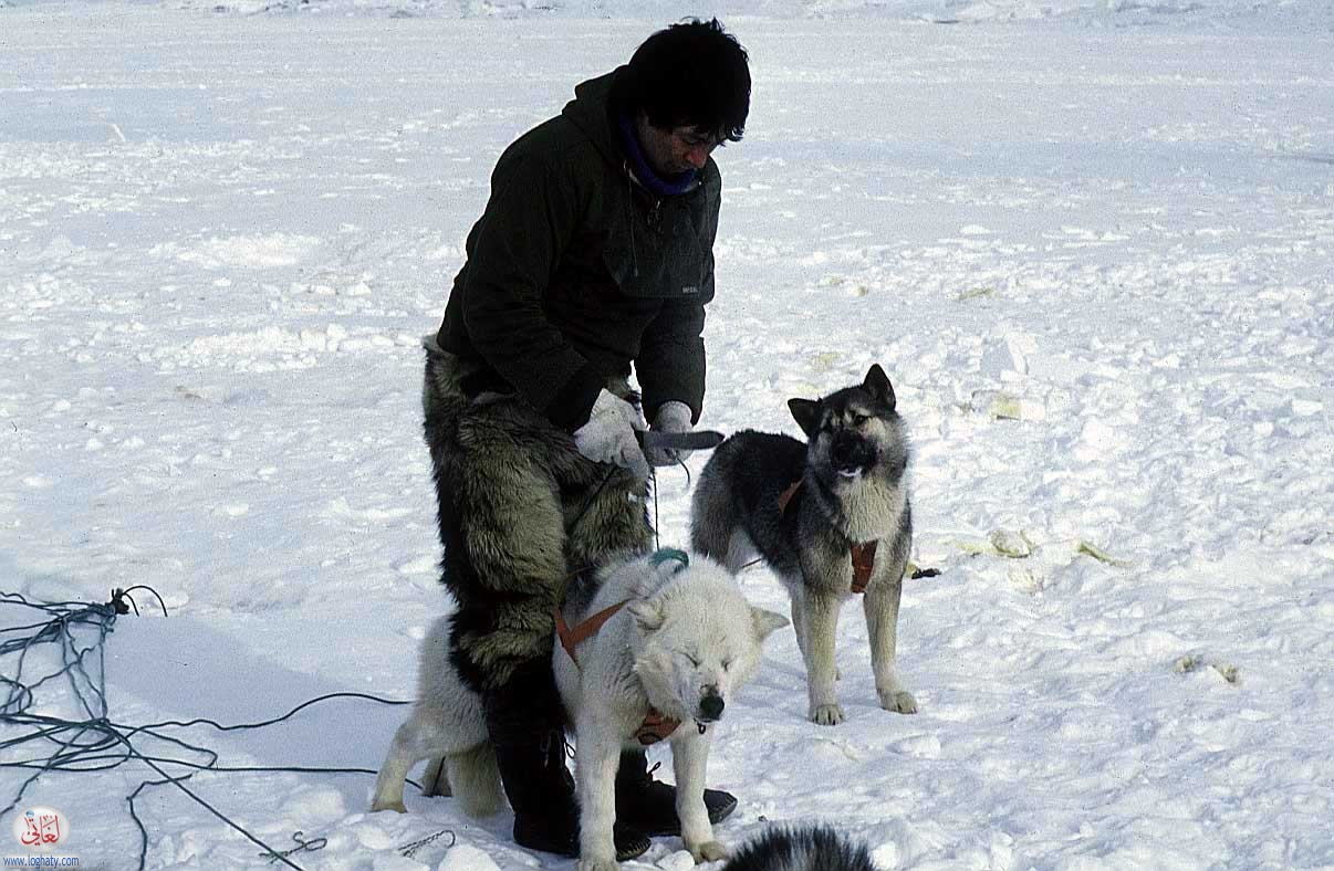 eskimos 12