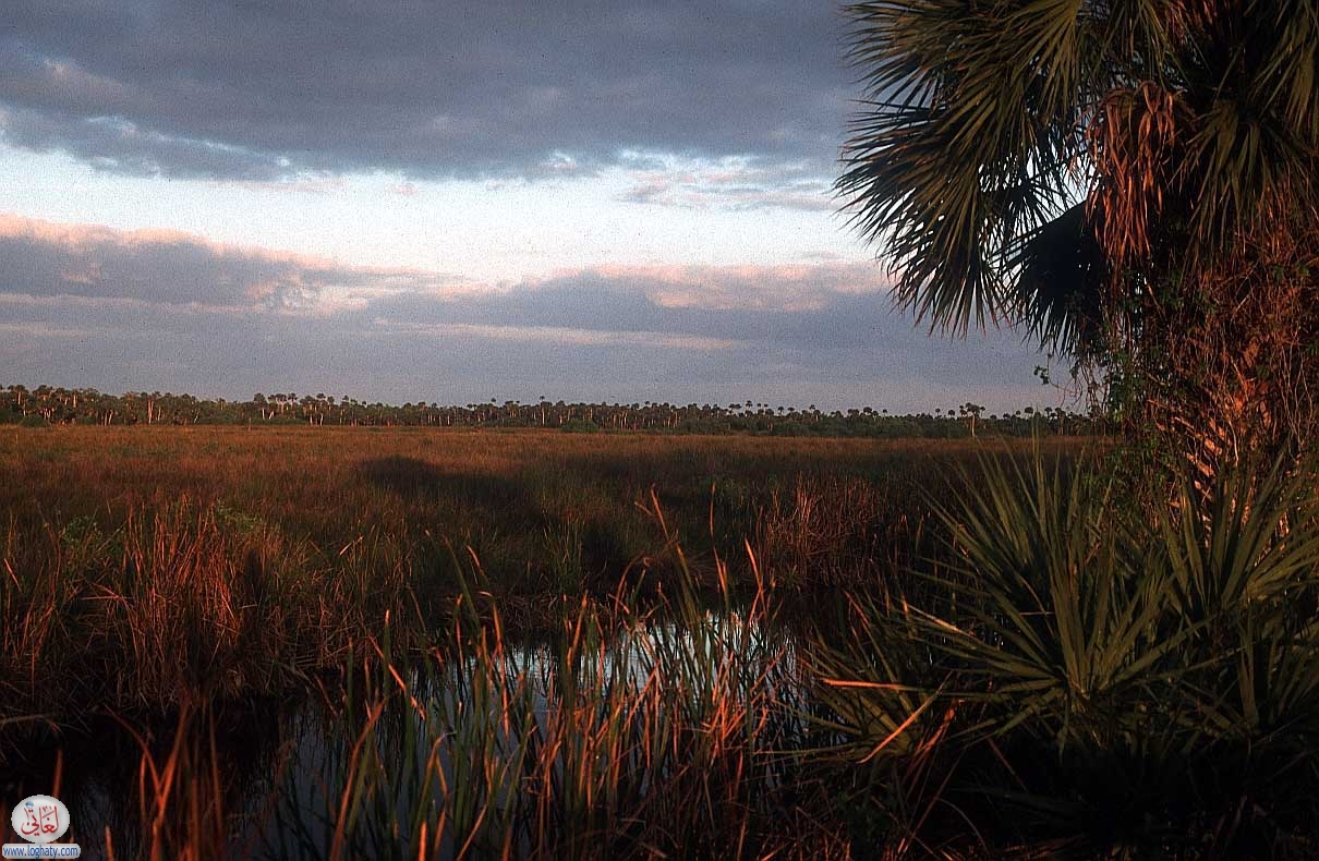 everglades florida