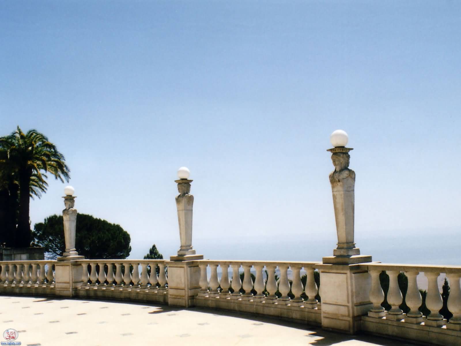 view