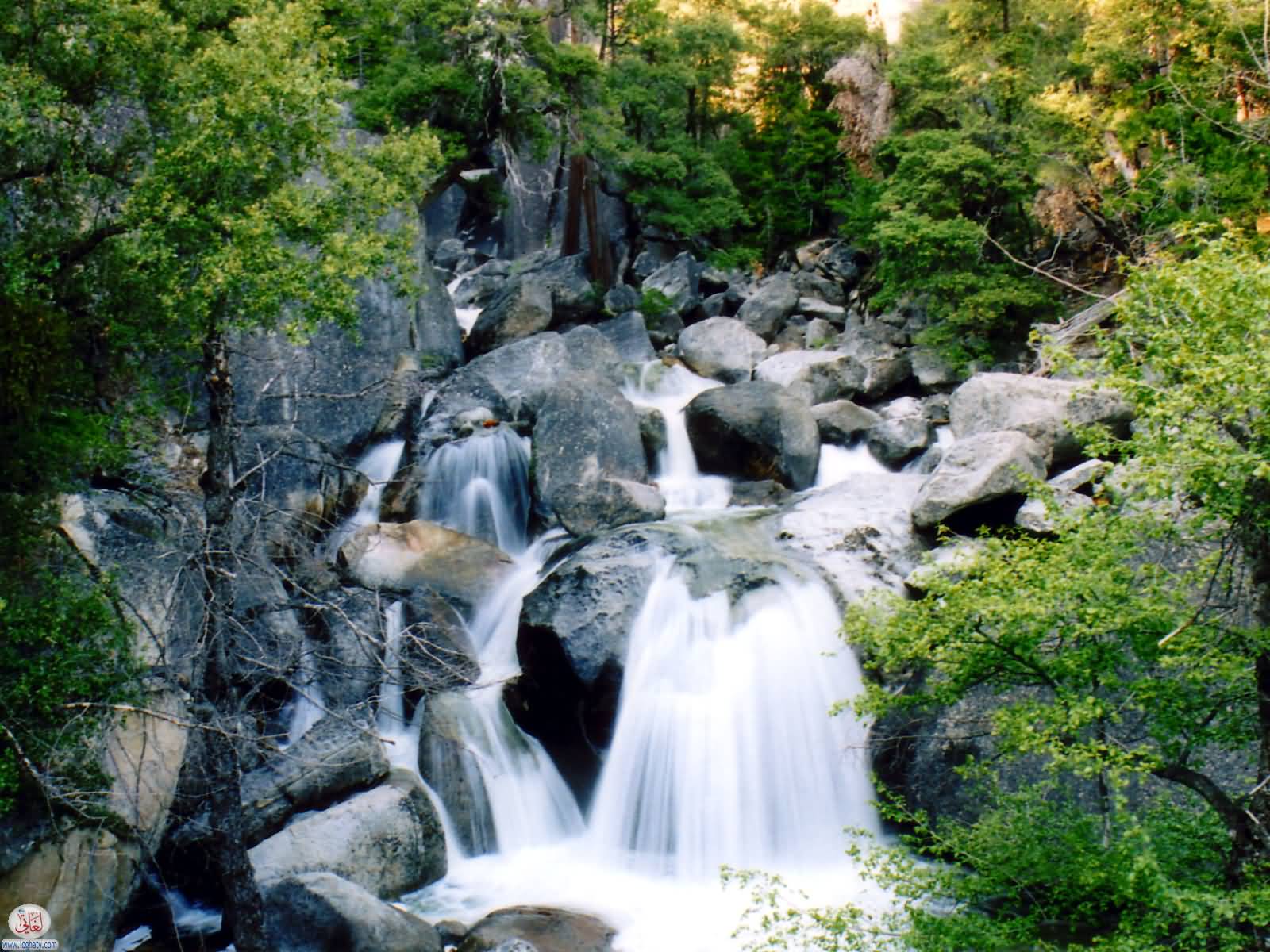 water