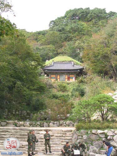 korea010