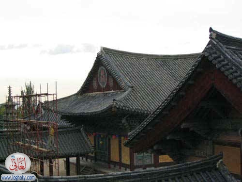 korea021